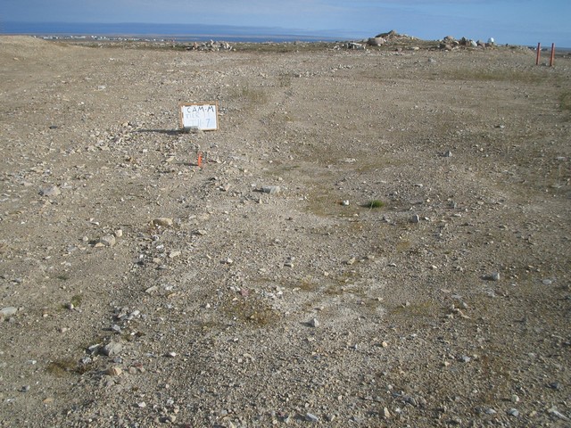 Thumb for tier ii location tii-7on 120 deg.jpg (3947 KB)